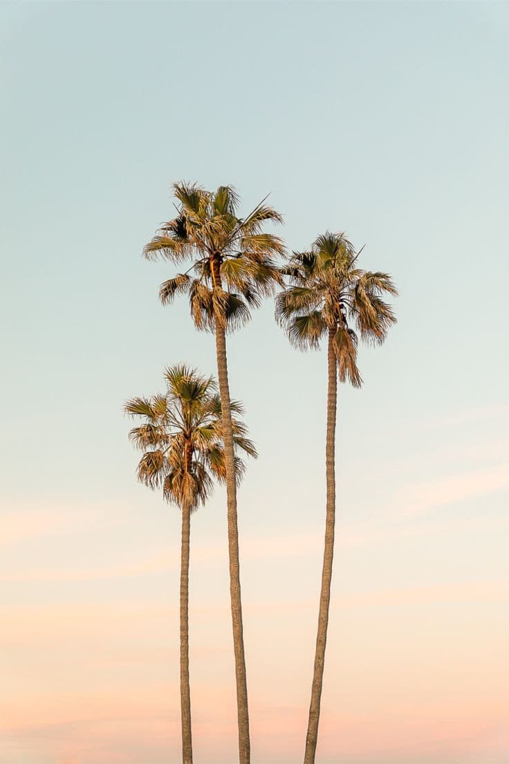 Los Angeles